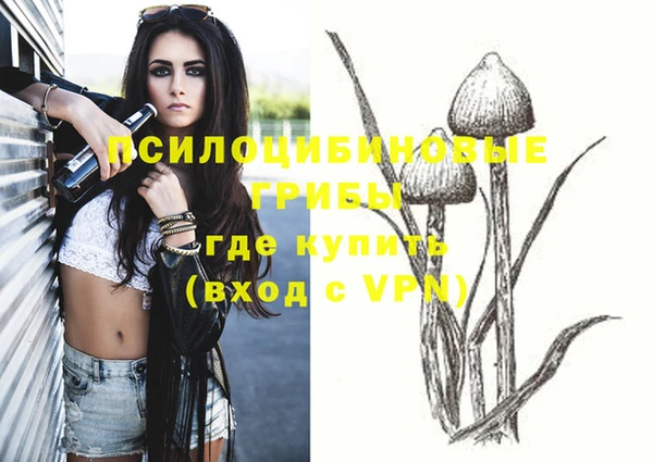 амф Няндома