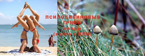 амф Нязепетровск