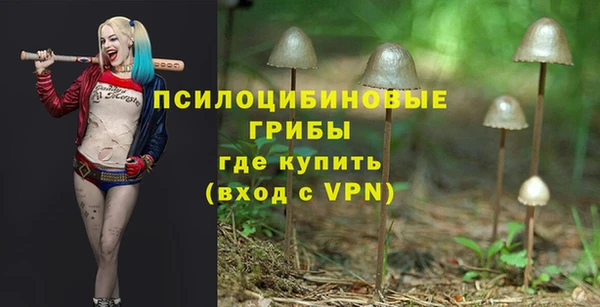 амф Нязепетровск