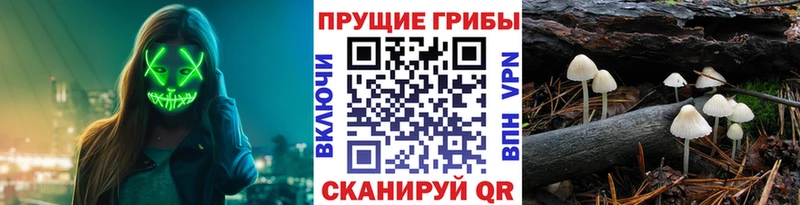 Галлюциногенные грибы мухоморы  где купить наркоту  гидра маркетплейс  Рыльск 
